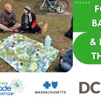Forest Bathing & Nature Therapy thumbnail