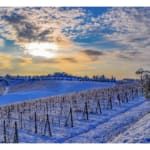 Winter in July - Wine Tasting thumbnail