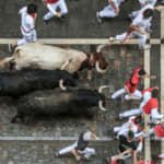 Running with the Bulls - Wine Tasting thumbnail
