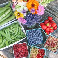 Pick-Your-Own Produce and Flowers at Ward's Berry Farm! thumbnail