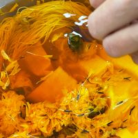 Plant-Based Fabric Dyeing: A Drop-In Event thumbnail
