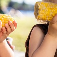 The Annual Corn Roast at Gore Place thumbnail