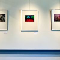 Reception for Dr. Albert R. Frederick: A Retrospective thumbnail