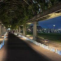Lights of Hope- American Cancer Society Cancer Action Network thumbnail
