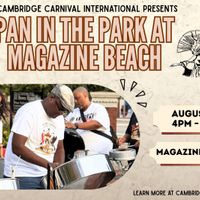 Pan in the Park at Magazine Beach thumbnail