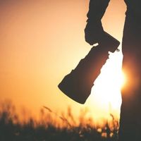 Crafts & Cocktails: Photographing Golden Hour at New England Botanic Garden thumbnail