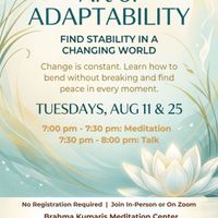 Art of ADAPTABILITY thumbnail