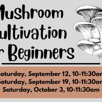Mushroom Cultivation for Beginners thumbnail