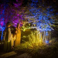 Fairies Aglow at New England Botanic Garden thumbnail