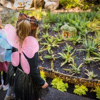 Weekend of Wonder at New England Botanic Garden thumbnail