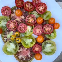 Tomato Talk & Taste Workshop thumbnail