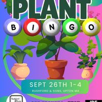 Plant Bingo @ Rushford & Sons Upton thumbnail