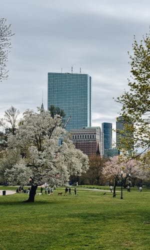 Thumbnail for Top 10 things to do around Boston this weekend