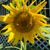 536684