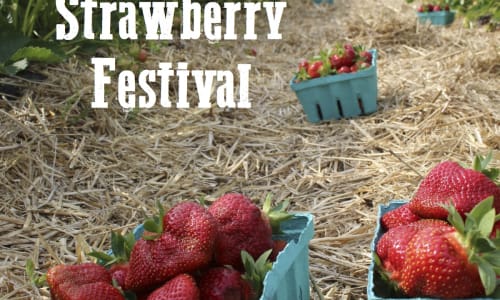 Thumbnail for Strawberry Festival 2025