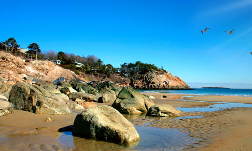 Thumbnail for 15+ Beaches Around Boston to Check Out this Summer 