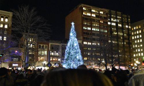 Thumbnail for 2025 Copley Square Tree Lighting & Grand Reopening of Copley Square 