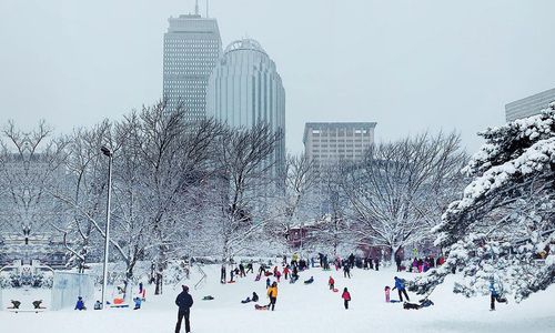 Thumbnail for 10+ Best Sledding Hills in Boston 