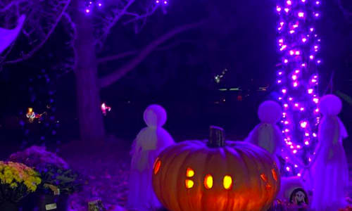 Thumbnail for Halloween on the Hill