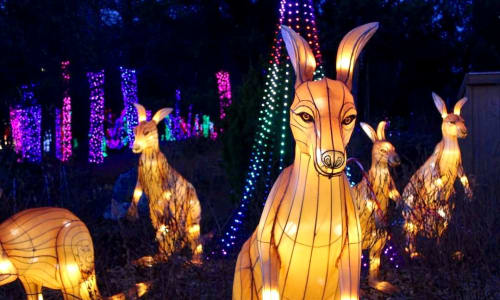 Thumbnail for ZooLights at Stone Zoo