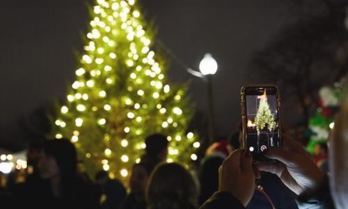 Thumbnail for Fenway Tree Lighting & Luminary Walk 2025