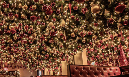 Thumbnail for The Holiday Popup at The Venetian Weymouth