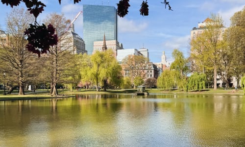 Thumbnail for 10 cheap (mostly free) things to do in Boston this week