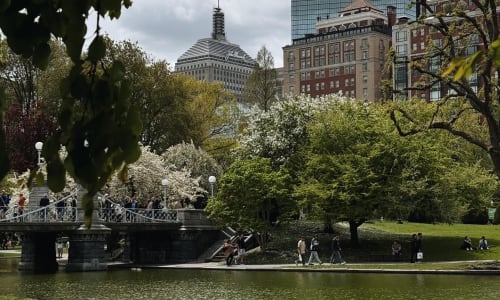 Thumbnail for 10 cheap (mostly free) things to do in Boston this week