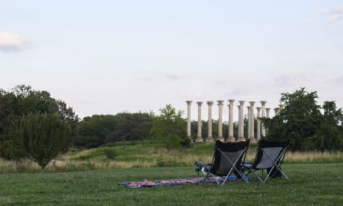 Thumbnail for National Arboretum Summer Evening Hours