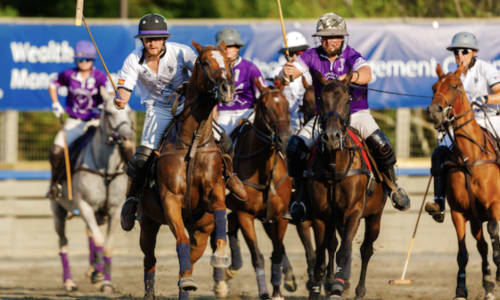 Thumbnail for Sunset Polo at Great Meadow