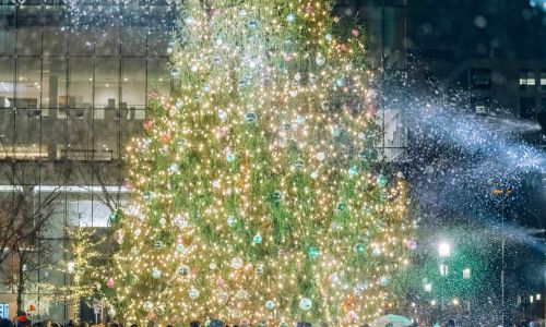 Thumbnail for Light Up Seaport 2025