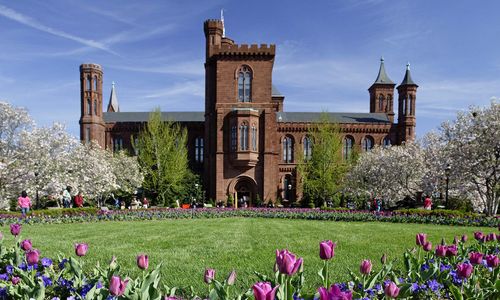 Thumbnail for Enid A. Haupt Garden | Public Garden on the National Mall