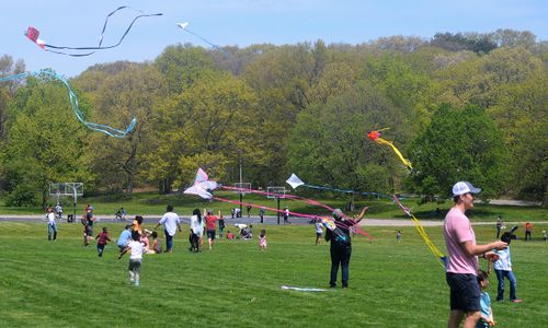 Thumbnail for Franklin Park Kite & Bike Festival