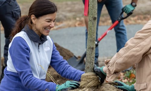 Thumbnail for Mount Hope Cemetery Tree Planting