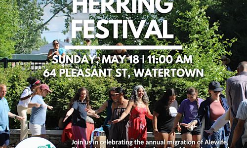 Thumbnail for 2026 Watertown Dam Herring Festival