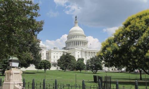 Thumbnail for 54 Things to do in Washington D.C. for $15 or Less: May 2025