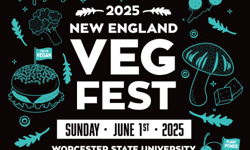 Thumbnail for New England Vegfest 2025