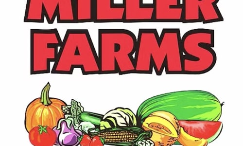 Thumbnail for Strawberry Festival - Miller Farms