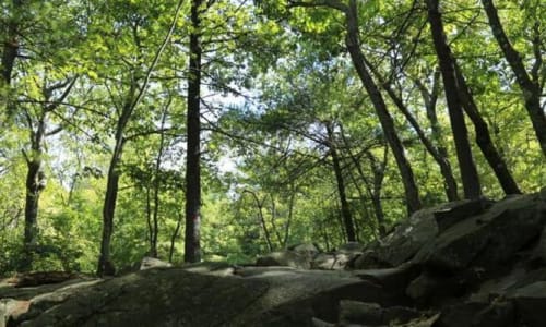 Thumbnail for Blue Hills Reservation | Milton, Massachusetts