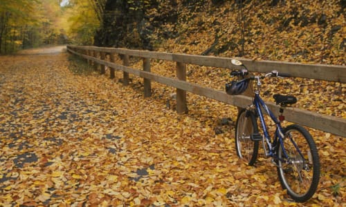 Thumbnail for Nashua River Rail Trail | Ayer, Massachusetts