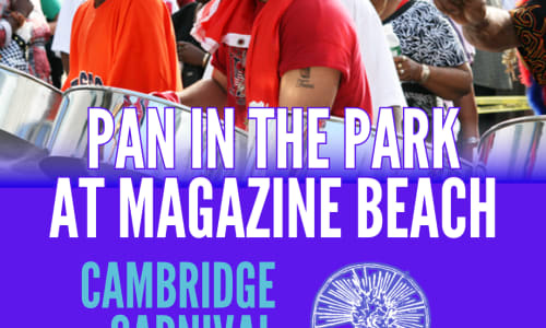 Thumbnail for Pan in the Park at Magazine Beach - Free Event