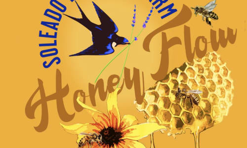 Thumbnail for Honey Flow at Soleado Lavender Farm