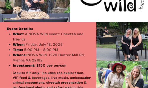 Thumbnail for NOVA Wild Cheetah & Friends