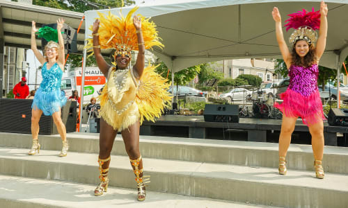 Thumbnail for Dudley Street Annual Multicultural Festival