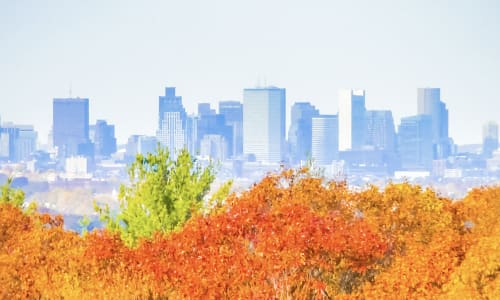Thumbnail for 7 Best Fall Foliage Spots in New England Accessible via the MBTA Commuter Rail