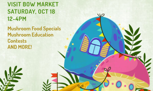 Thumbnail for THE mushroom shop & Saus presents the 1st ever Mushroom Fest