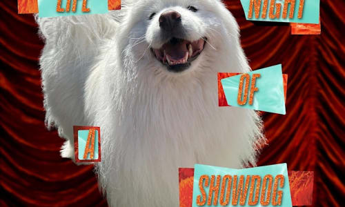 Thumbnail for The Life of a Showdog: A TS12 Pup-Friendly Party!