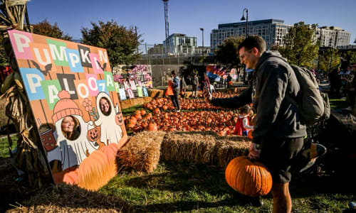 Thumbnail for PumpkinPalooza