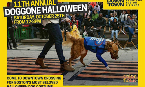 Thumbnail for Doggone Halloween