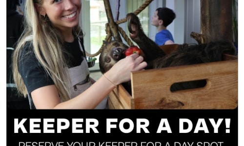 Thumbnail for Keeper for a Day – NOVA Wild Exclusive Experience